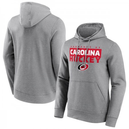 Men's Carolina Hurricanes Grey Gain Ground Hoodie