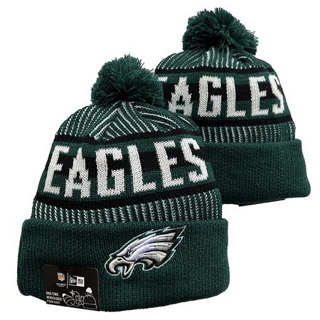 Philadelphia Eagles Beanies Knit Hat