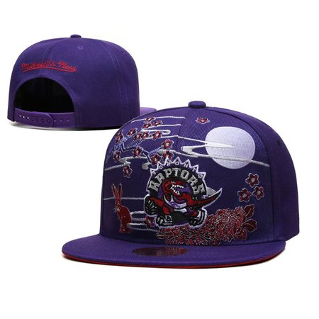 Toronto Raptors Snapback Hat